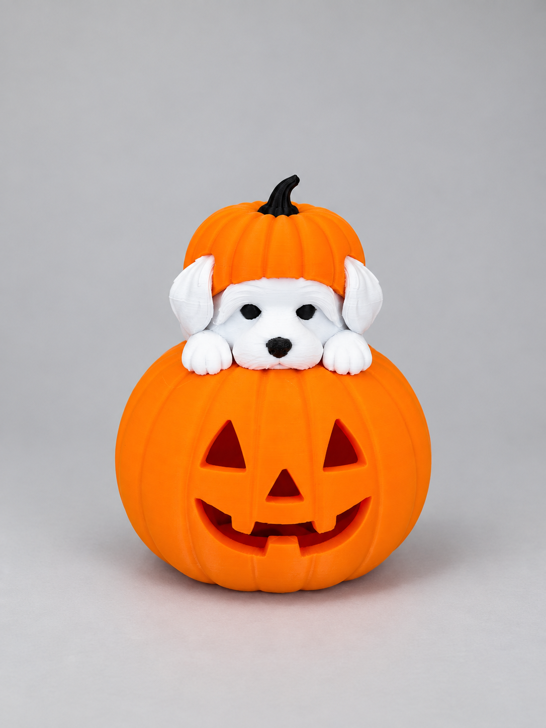 Abóbora Halloween com Cachorrinho