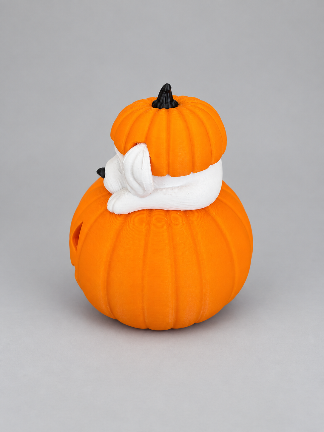 Abóbora Halloween com Cachorrinho