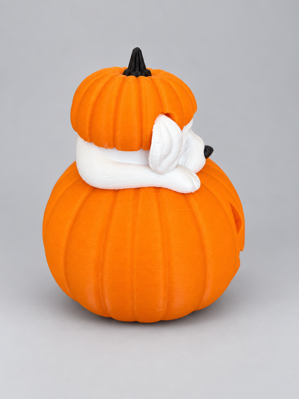 Abóbora Halloween com Cachorrinho