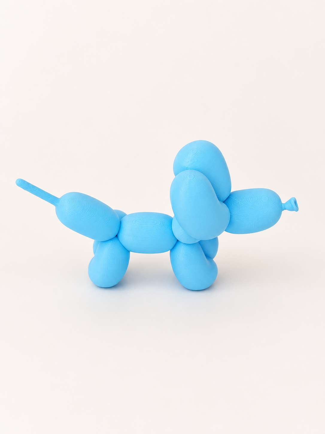 Cão Balão