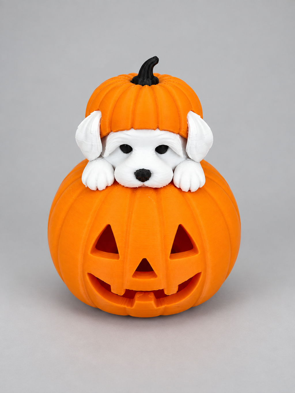 Abóbora Halloween com Cachorrinho