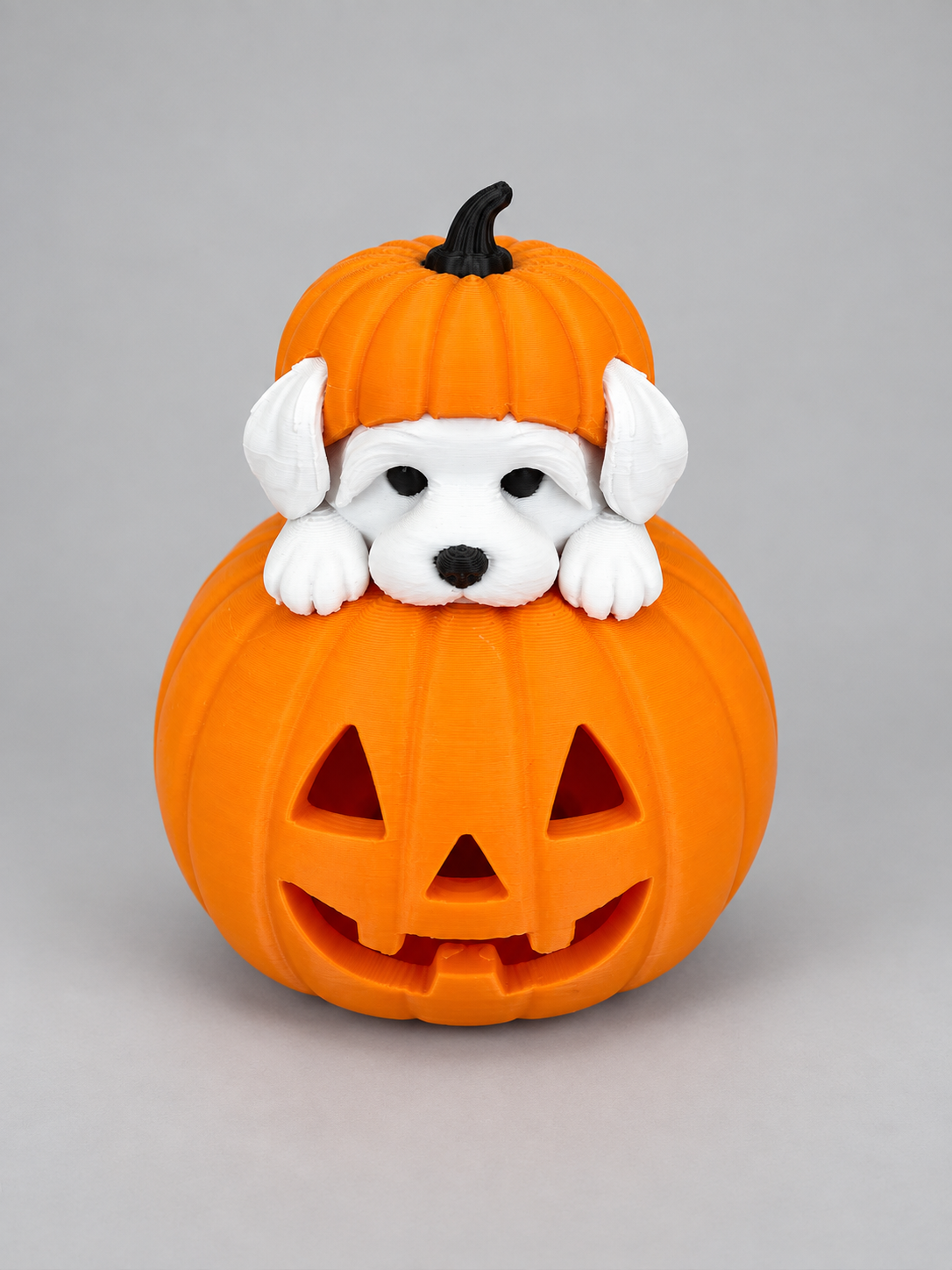 Abóbora Halloween com Cachorrinho