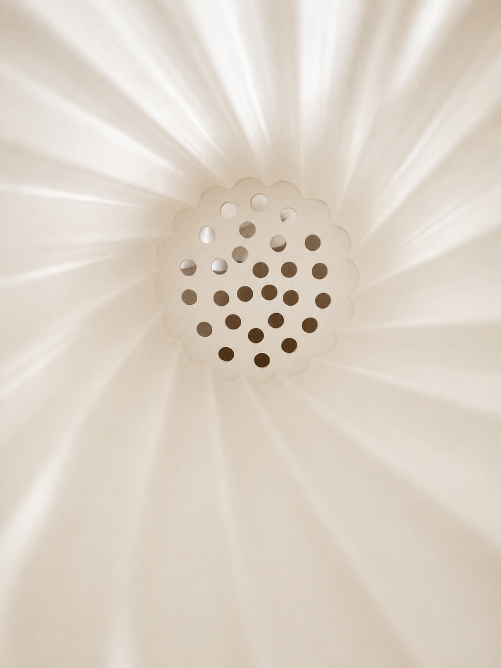 Vaso Flor Espiral