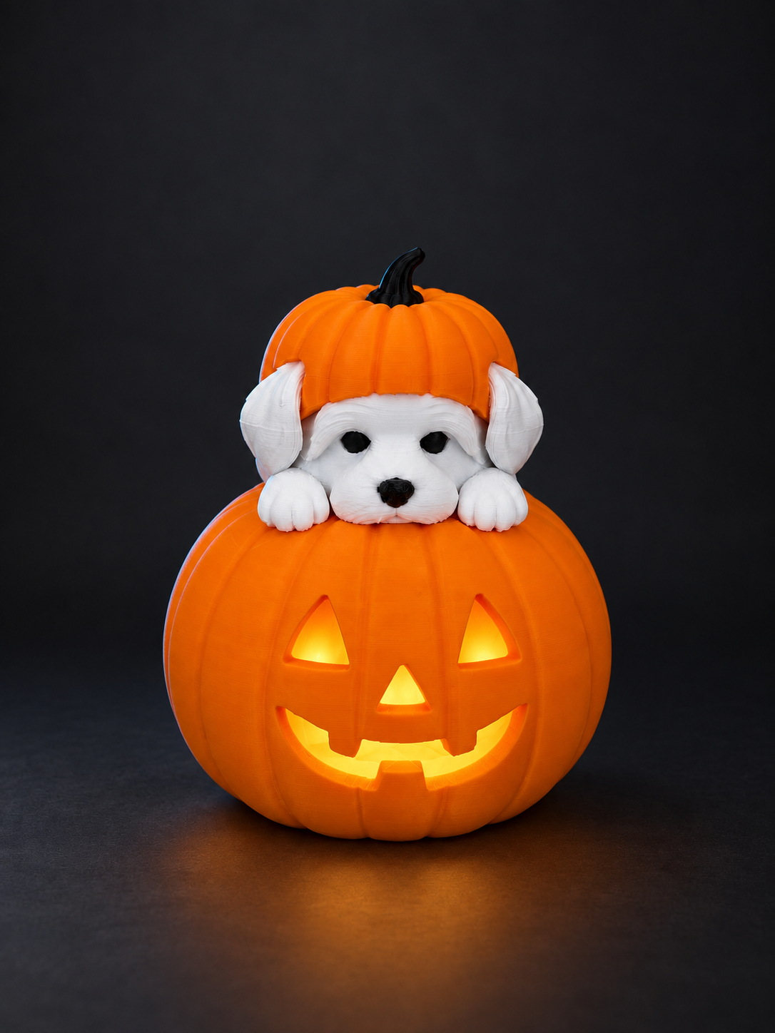 Abóbora Halloween com Cachorrinho